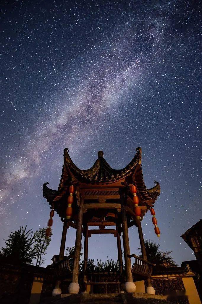 披萨找不同