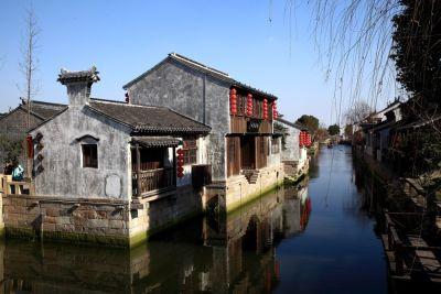 除虫大师